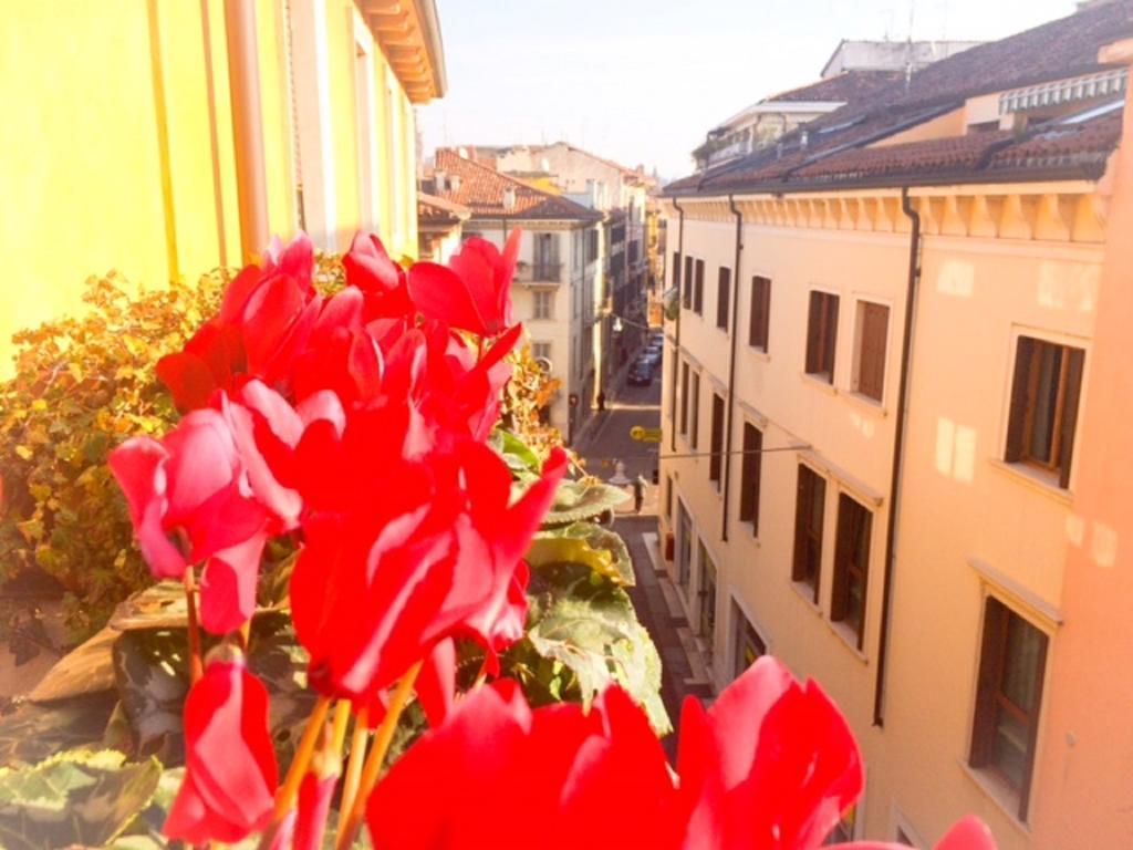 Affittacamere Fedua Centro Verona